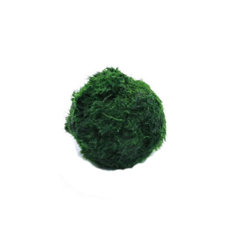 Marine Aquarium Live - Шарики из мха Marimo, живое аквариумное