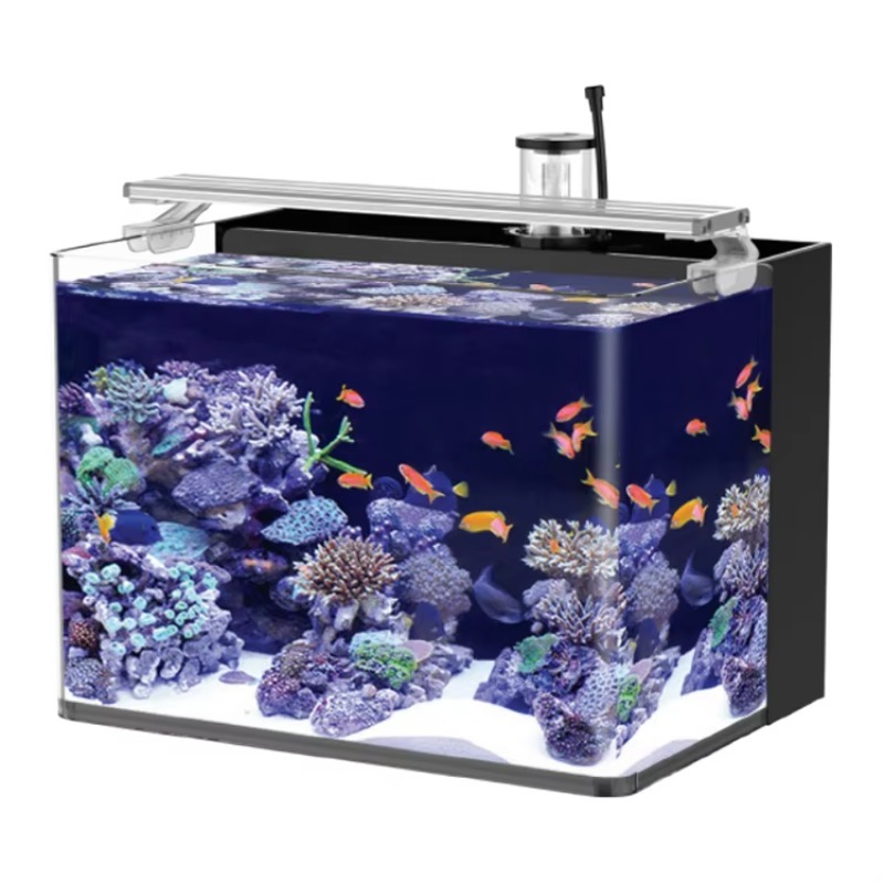 Marine Aquarium Live - Настольный изогнутый аквариум для морских рыб