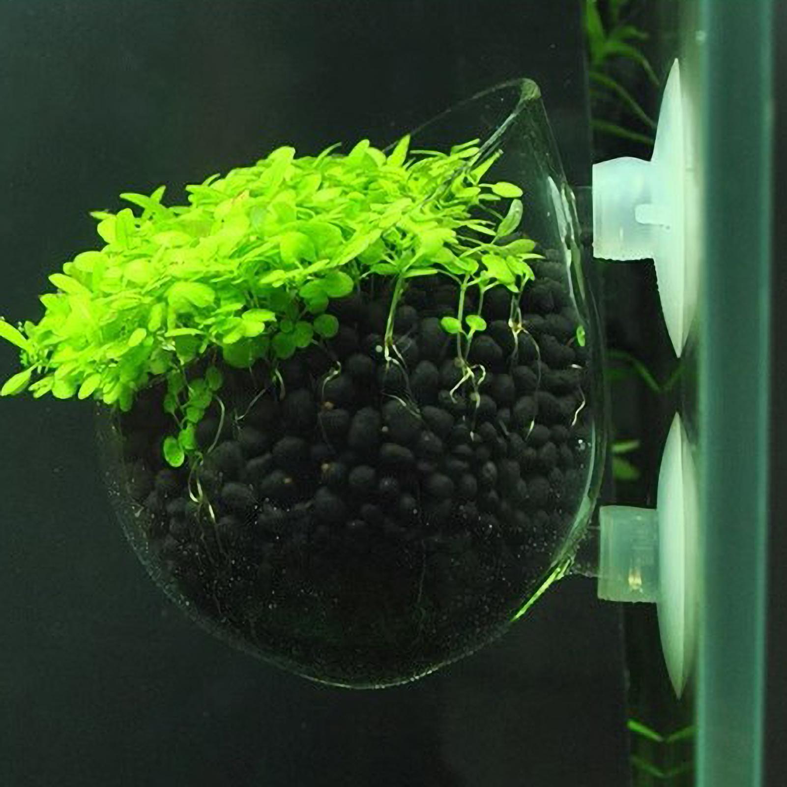 Держатель для аквариумных раст – обзор и цена Marine Aquarium Live