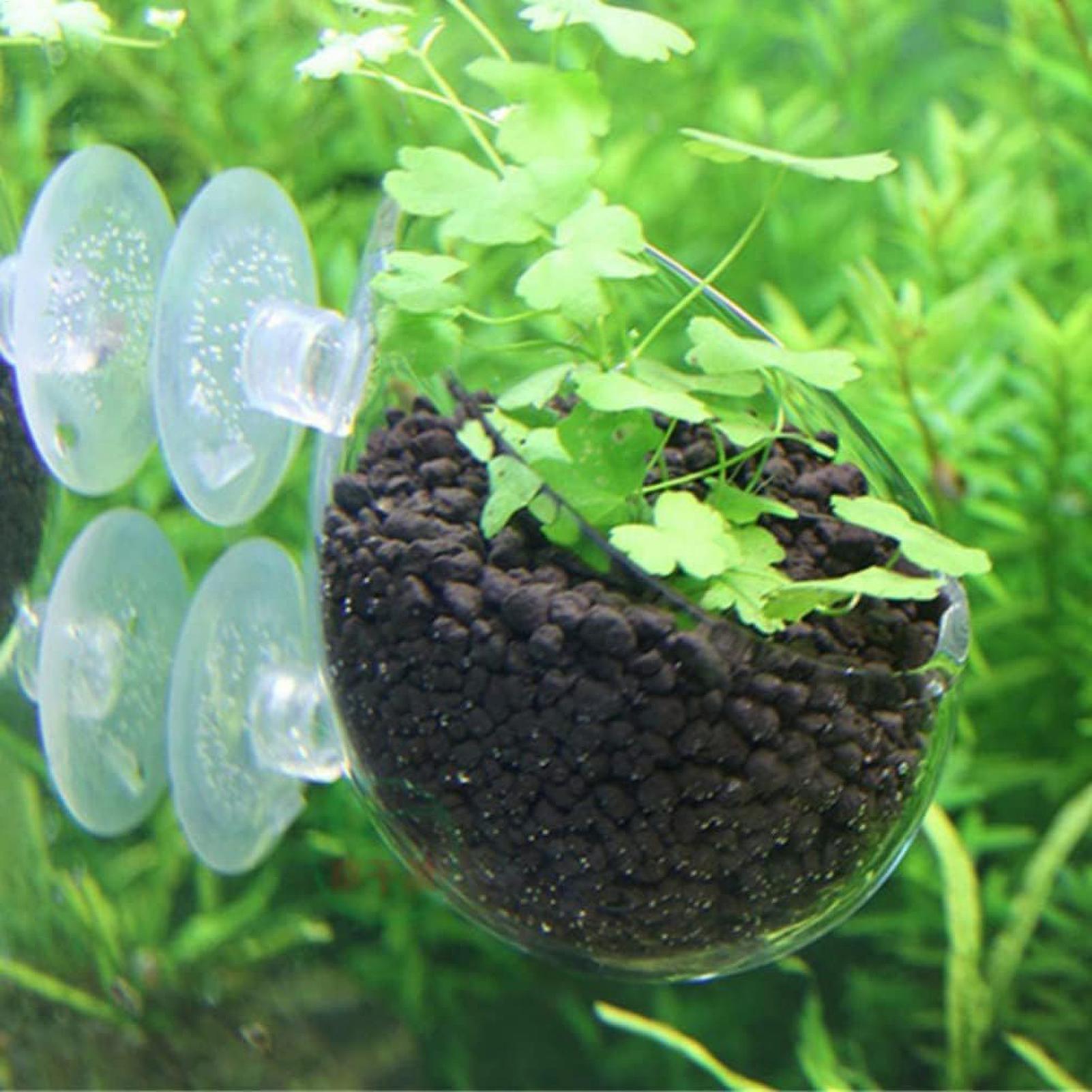Держатель для аквариумных раст – обзор и цена Marine Aquarium Live