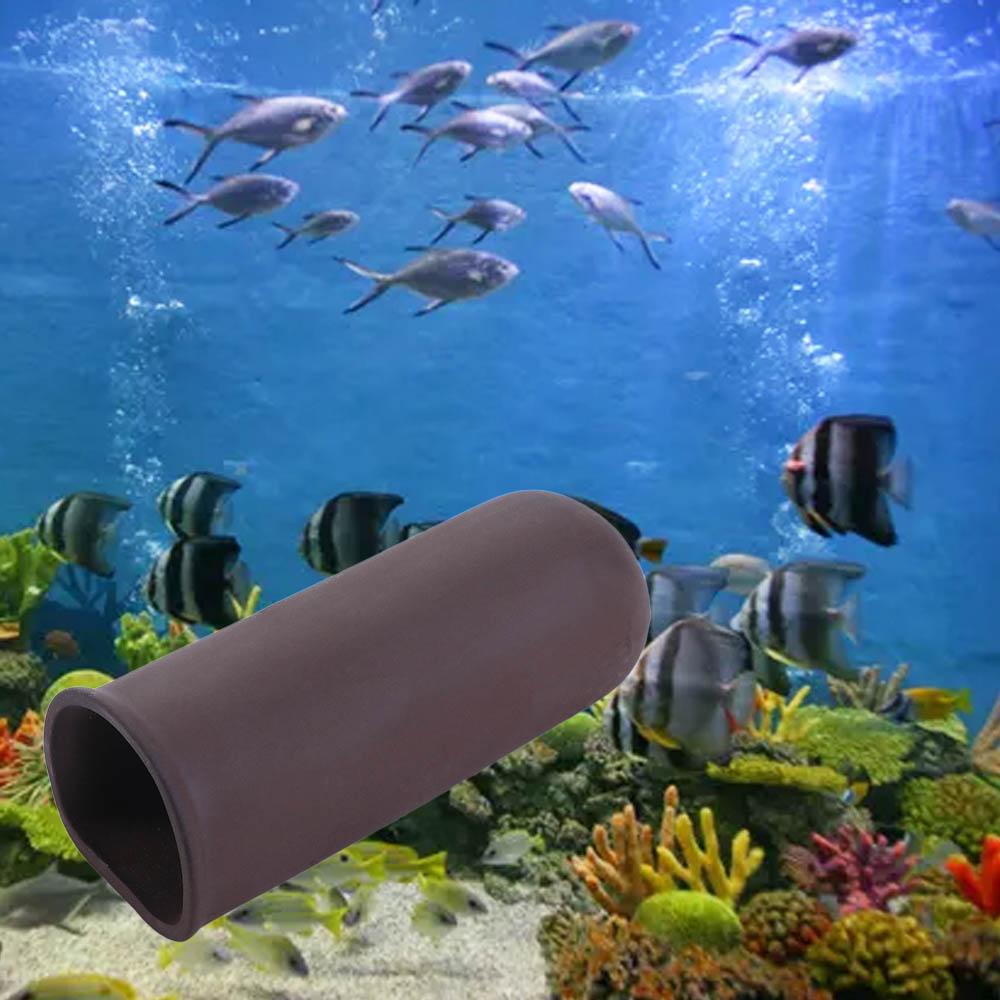 Новая аквариумная пещера, укры – обзор и цена Marine Aquarium Live