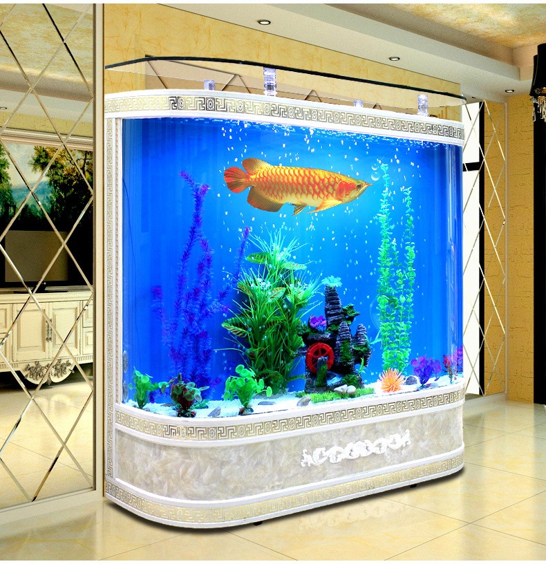 Индивидуальный большой стеклян – обзор и цена Marine Aquarium Live