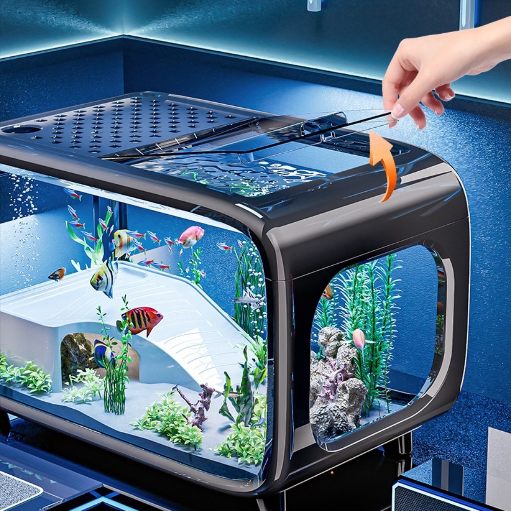 Прозрачный роскошный аквариум, – обзор и цена Marine Aquarium Live