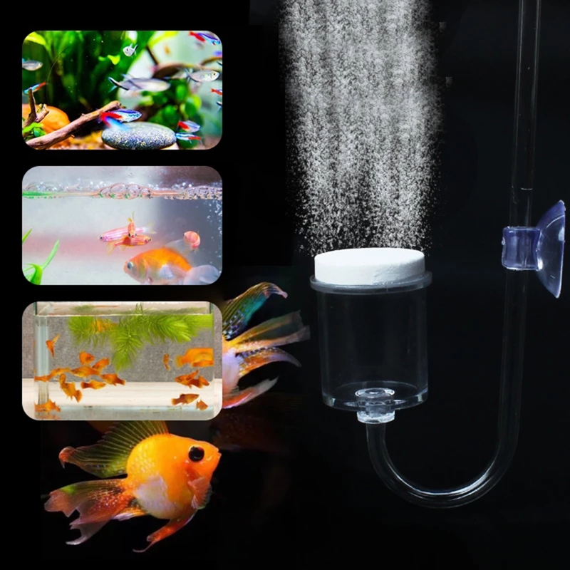 4 шт./набор, соленоидный регул – обзор и цена Marine Aquarium Live