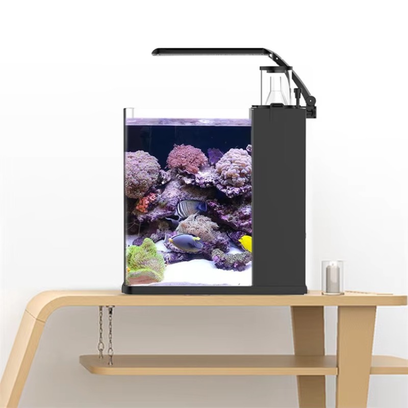 Настольный изогнутый аквариум  – обзор и цена Marine Aquarium Live