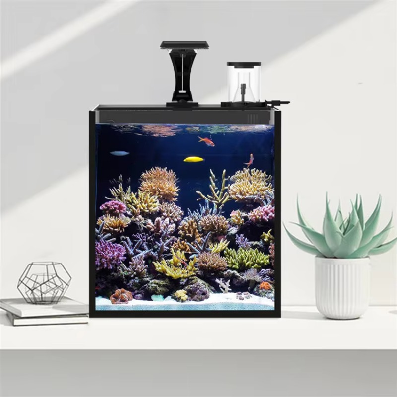 Настольный изогнутый аквариум  – обзор и цена Marine Aquarium Live